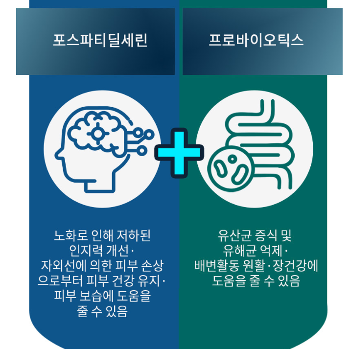 뇌 유산균 복합물 복합 전두엽유산균 - 상세 이미지 3