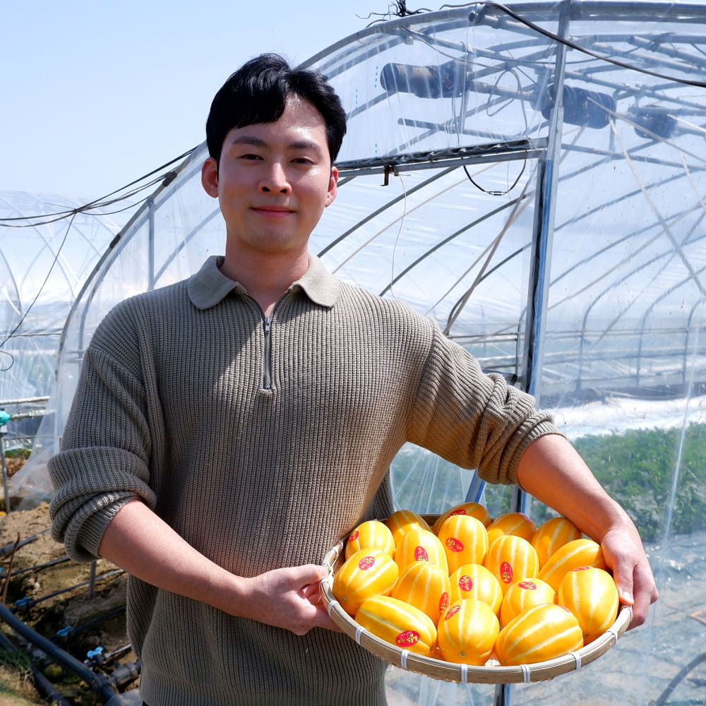성주참외 꼬마 못난이 10kg 가격 비교 달콤한 수확 성주참외 꼬마 못난이 10kg