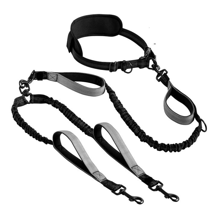 개과천선 트롱 핸즈프리 2견용 리드줄 반려견 목줄 산책줄 줄꼬임 방지 블랙 그레이