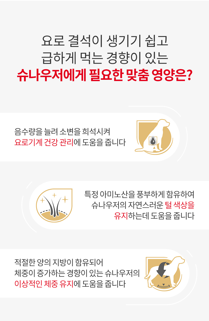 로얄캐닌 독 슈나우져 어덜트, 3kg, 1개 이미지 7