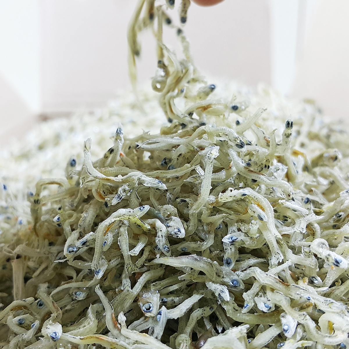 상급 볶음 잔멸치 지리멸치 세멸 아기멸치 1.5kg, 1개 - 상세 이미지 4