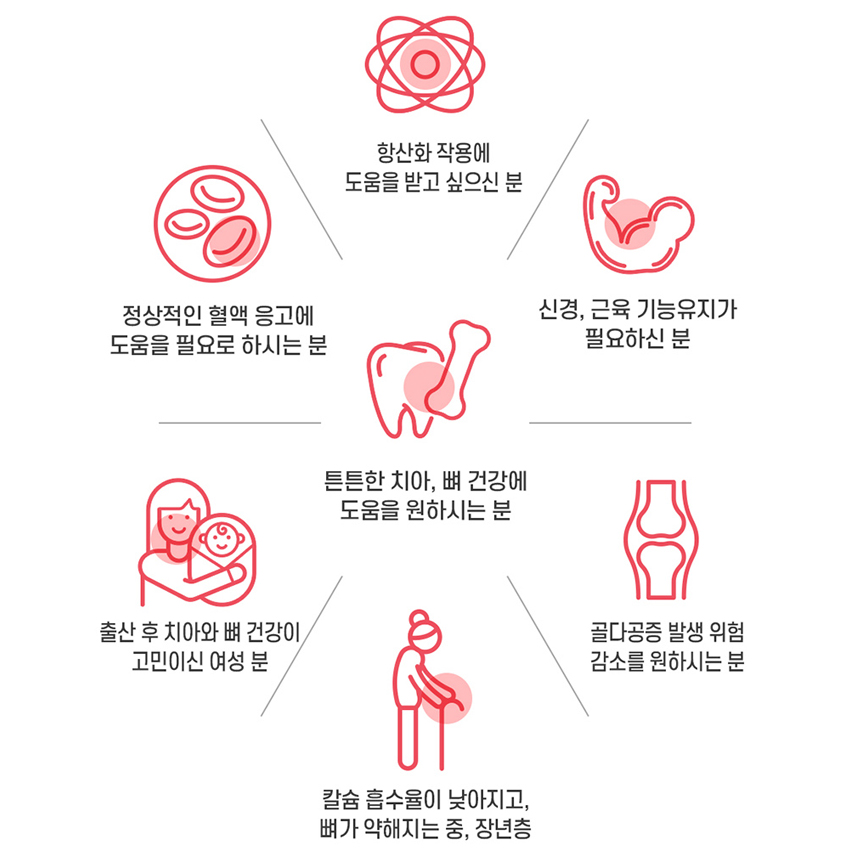 인사덴티 케어 플러스 칼슘 비타민C 치아 뼈 건강 항산화 도움 효능 - 상세 이미지 3