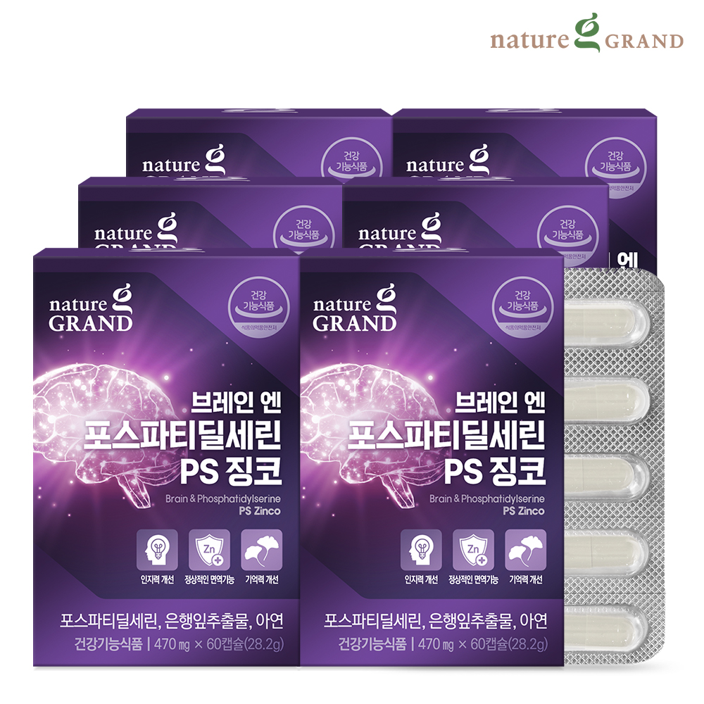 네이처그랜드 브레인 포스파티딜세린 PS 징코 두뇌 은행잎추출물 인지력 60캡슐, 6개