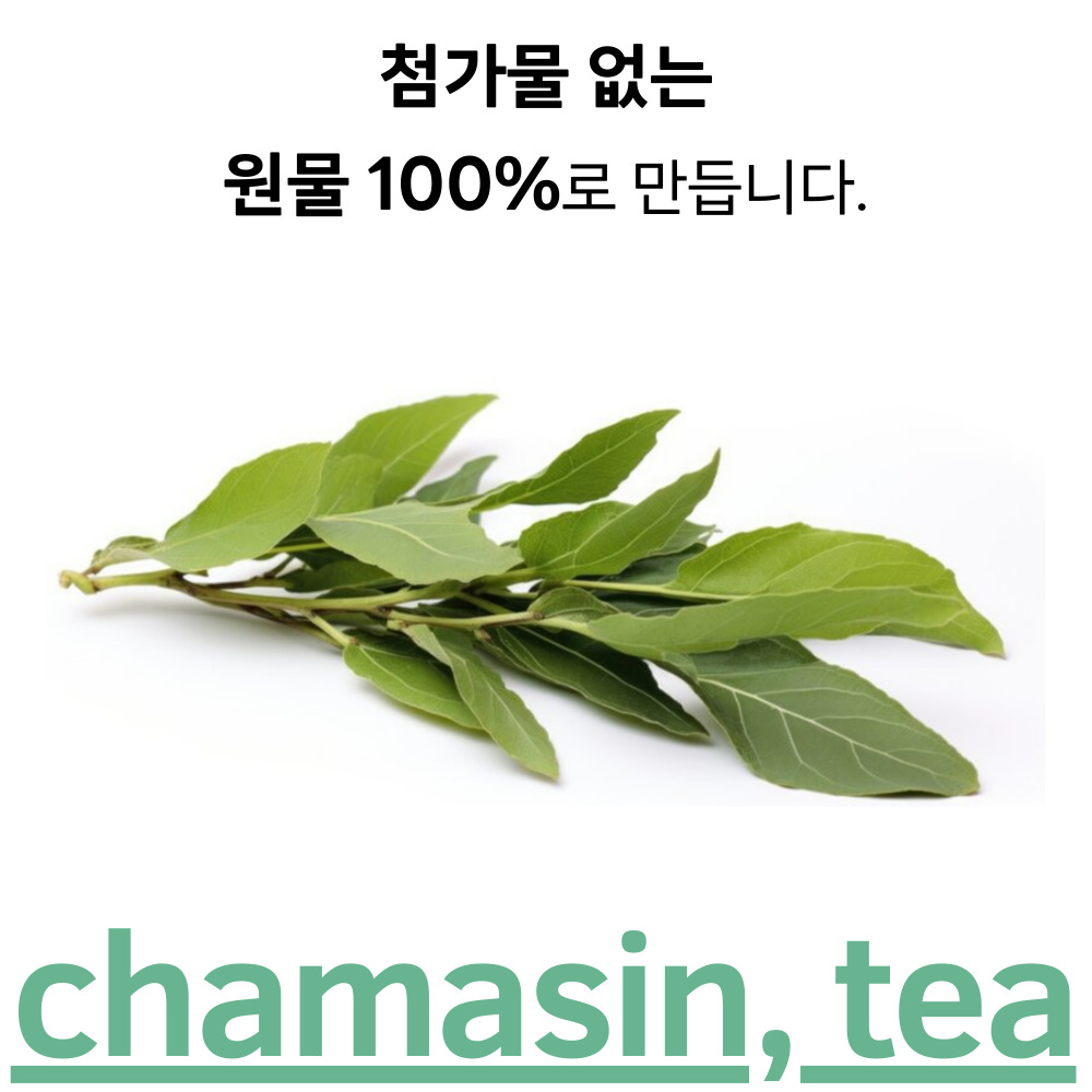 마테차 50티백 마태차 다이어트에좋은차 - 상세 이미지 2
