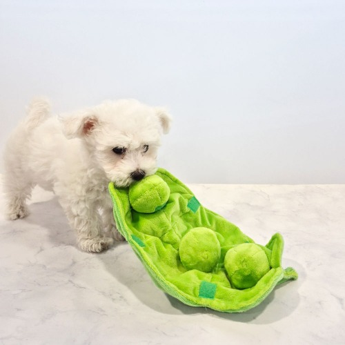 완두콩 노즈워크 장난감 극세사 강아지 분리불안 스트레스 해소 훈련