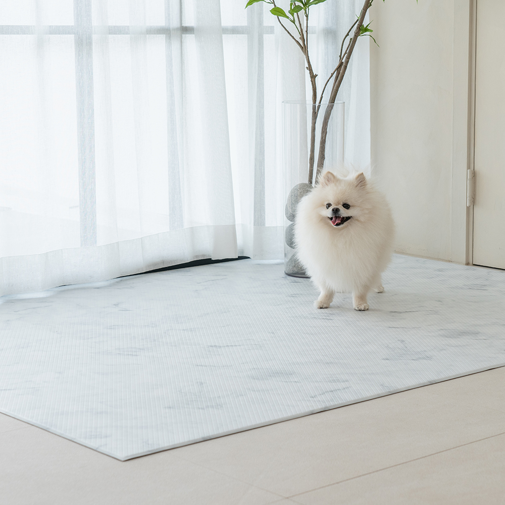 [러그140x180cm] 디팡 4mm 펫 미끄럼방지 강아지 고양이 애견매트 슬개골 반려견 이미지 7