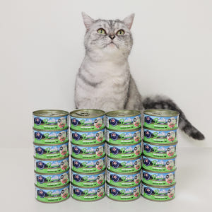 브리젠 뉴질랜드산 전연령 고양이 주식캔 습식사료 파테 치킨, 80g, 2... 솔직 후기 | 실제 사용자 리뷰 총정리 - 상품 이미지 1
