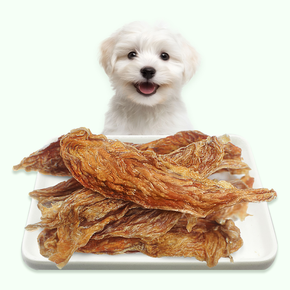 국내산 치킨 안심 육포 강아지 간식 영양식 닭고기 애견 수제 간식 닭안심, 70g, 1개