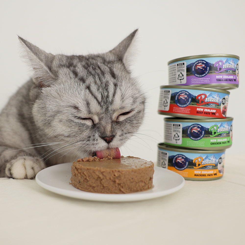 브리젠 뉴질랜드산 전연령 고양이 주식캔 습식사료 파테 비프, 80g, 12개 상세 이미지 6