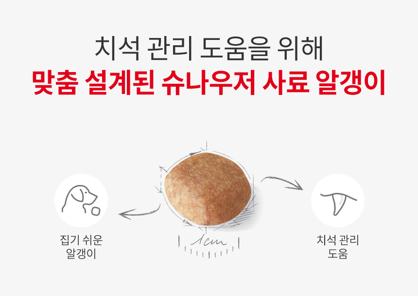 로얄캐닌 독 슈나우져 어덜트, 3kg, 1개 이미지 8