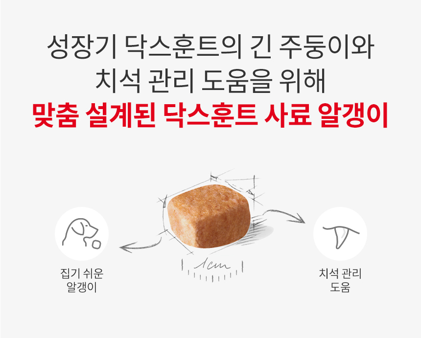 로얄캐닌 독 닥스훈트 퍼피, 1.5kg, 1개 이미지 8