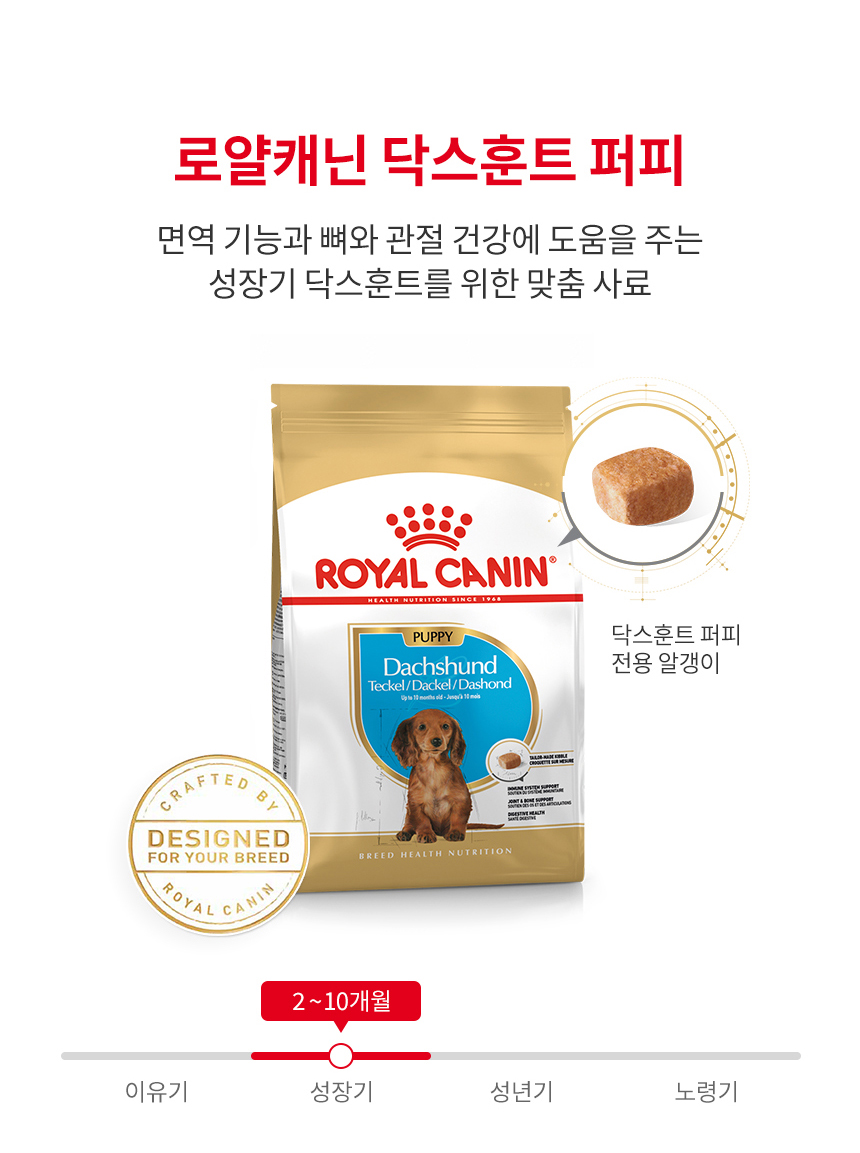 로얄캐닌 독 닥스훈트 퍼피, 1.5kg, 1개 - 상세 이미지 3