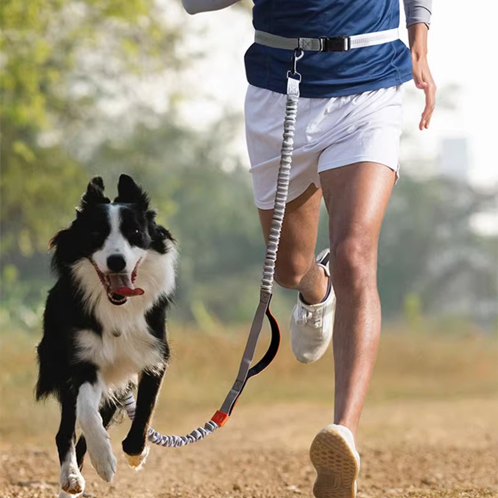 개과천선 트롱 핸즈프리 2견용 리드줄 반려견 목줄 산책줄 줄꼬임 방지 블랙 그레이