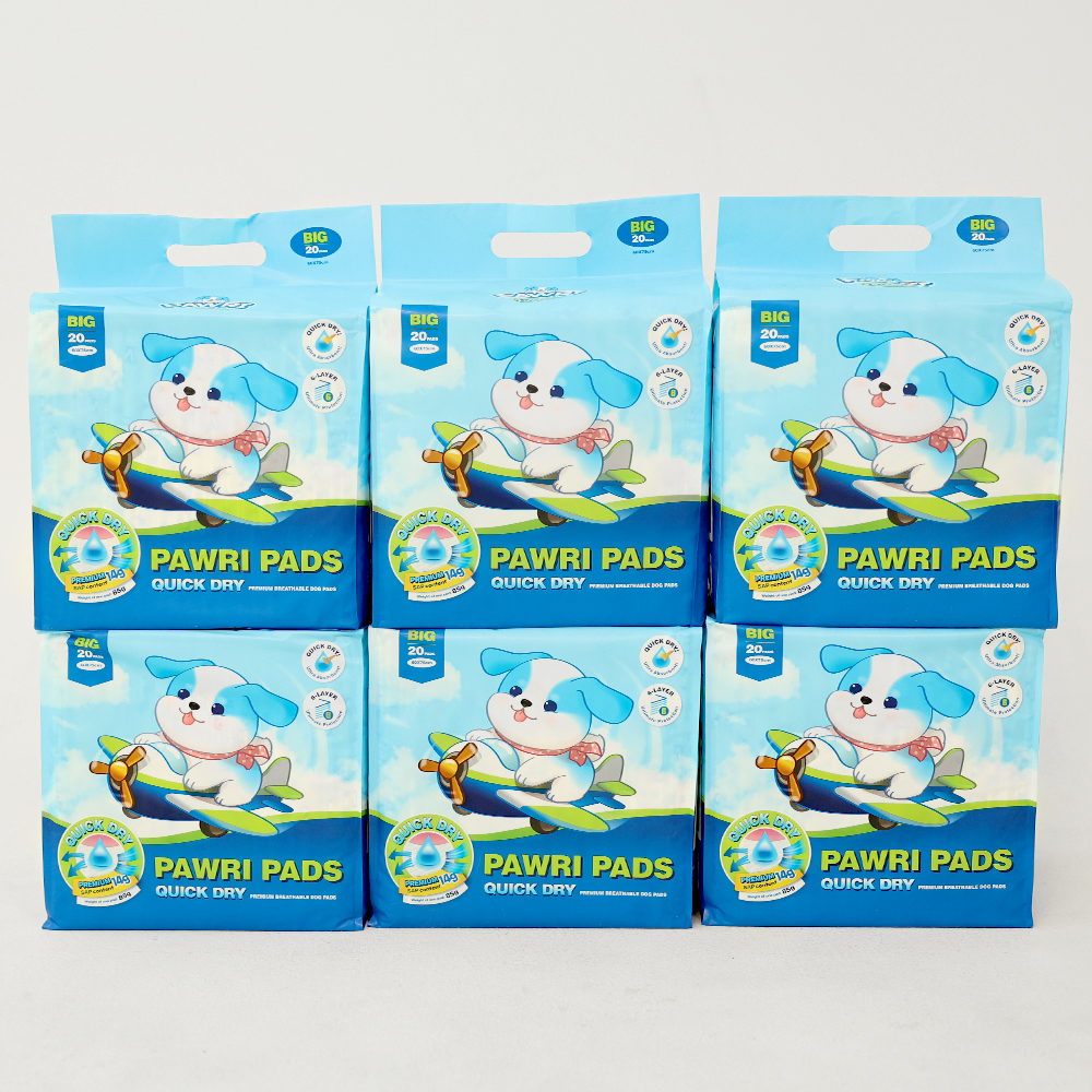 포우리 퀵드라이 고흡수 배변패드 큰패드 논슬립 두꺼운 대형, 20매입, 6개