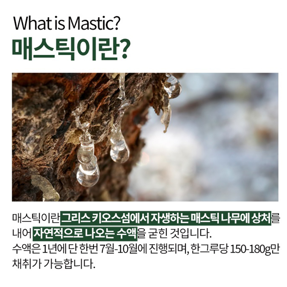 매스틱 유산균 메스틱 매스틱검 테르펜 정 알약형 효능 먹는법 홈쇼핑 3개월분 - 상세 이미지 4