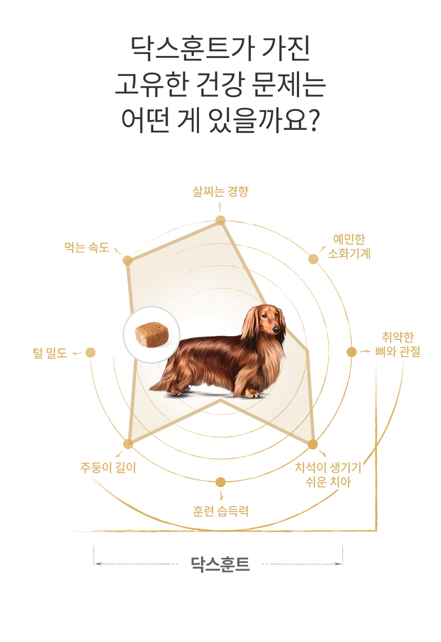 로얄캐닌 독 닥스훈트 퍼피, 1.5kg, 1개 이미지 6