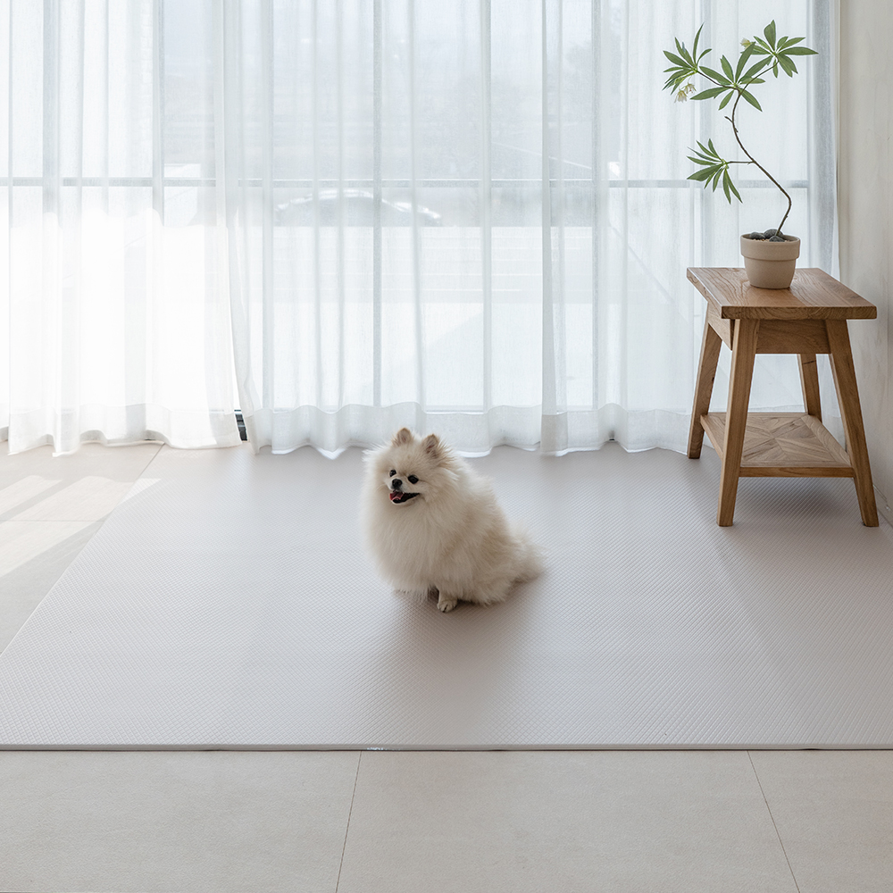 [러그140x180cm] 디팡 4mm 펫 미끄럼방지 강아지 고양이 애견매트 슬개골 반려견 이미지 8