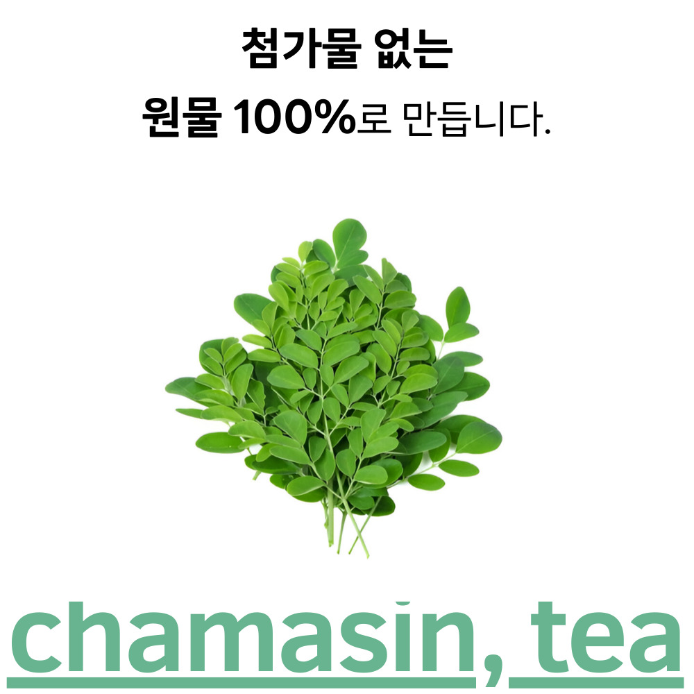 1+1 모링가차 50티백x2개 혈관에좋은 카페인없는 차 모링가잎차 - 상세 이미지 2