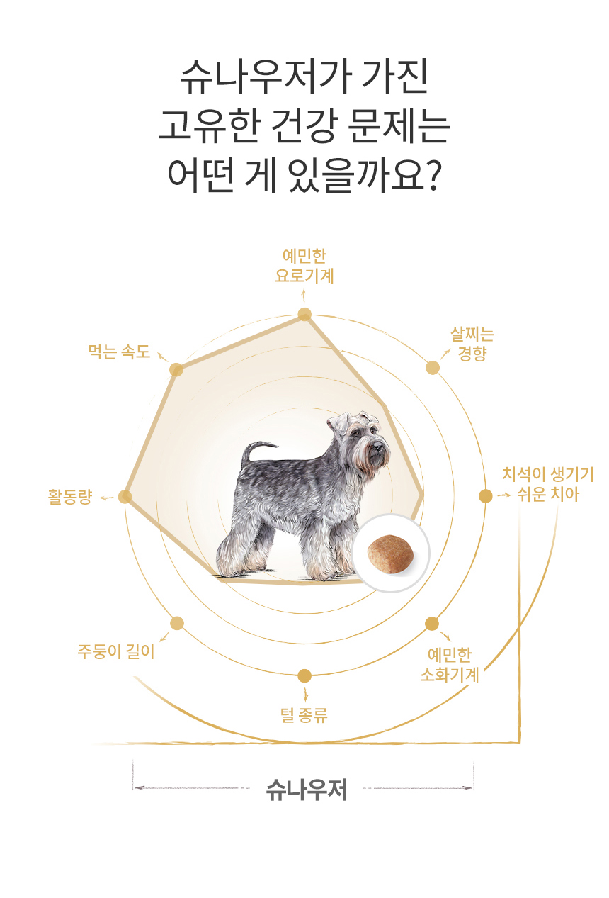 로얄캐닌 독 슈나우져 어덜트, 3kg, 1개 이미지 6