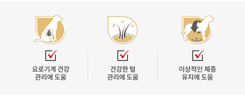 로얄캐닌 독 슈나우져 어덜트, 3kg, 1개 - 상세 이미지 4