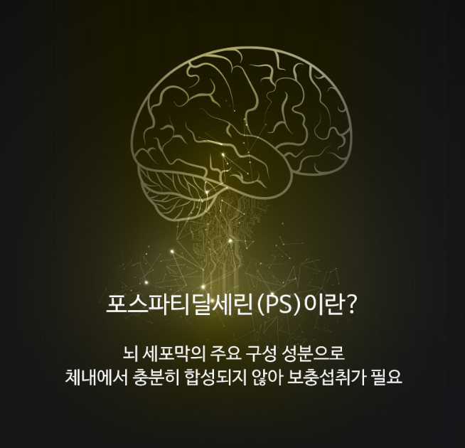 뇌 유산균 복합물 복합 전두엽유산균 - 상세 이미지 2