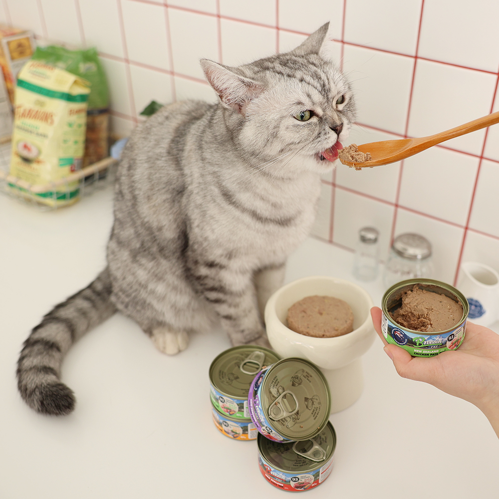 브리젠 뉴질랜드산 전연령 고양이 주식캔 습식사료 파테 비프, 80g, 12개 상세 이미지 4