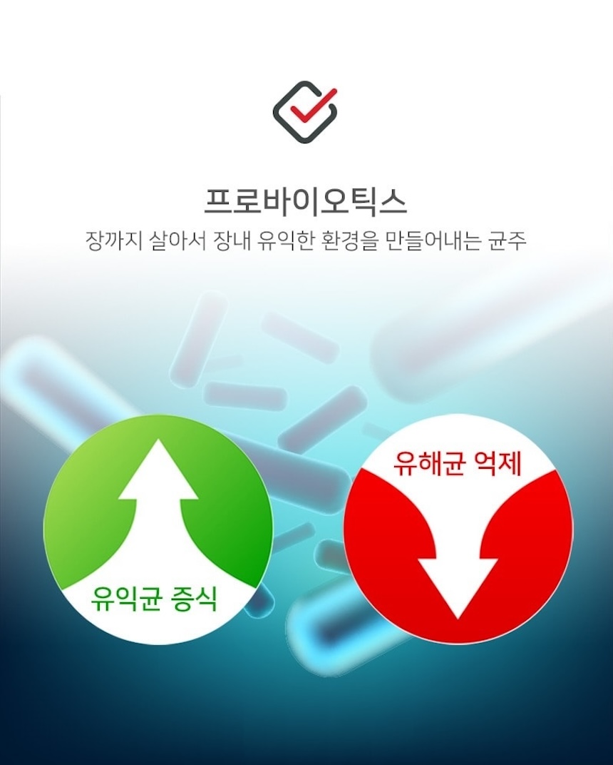 간유산균 보령 프로바이오틱스 간케어 2개월분 밀크씨슬 간건강 유산균 - 상세 이미지 4