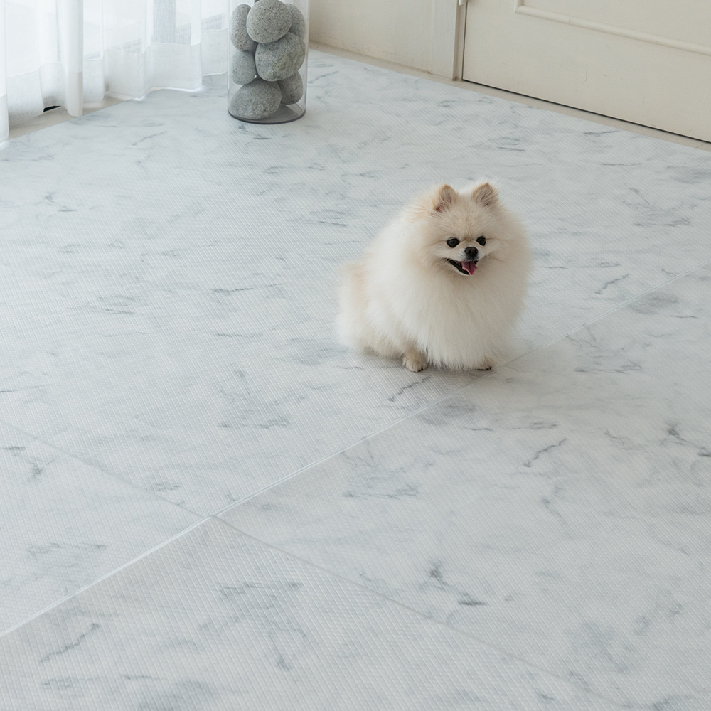 [러그140x180cm] 디팡 4mm 펫 미끄럼방지 강아지 고양이 애견매트 슬개골 반려견 - 상세 이미지 5