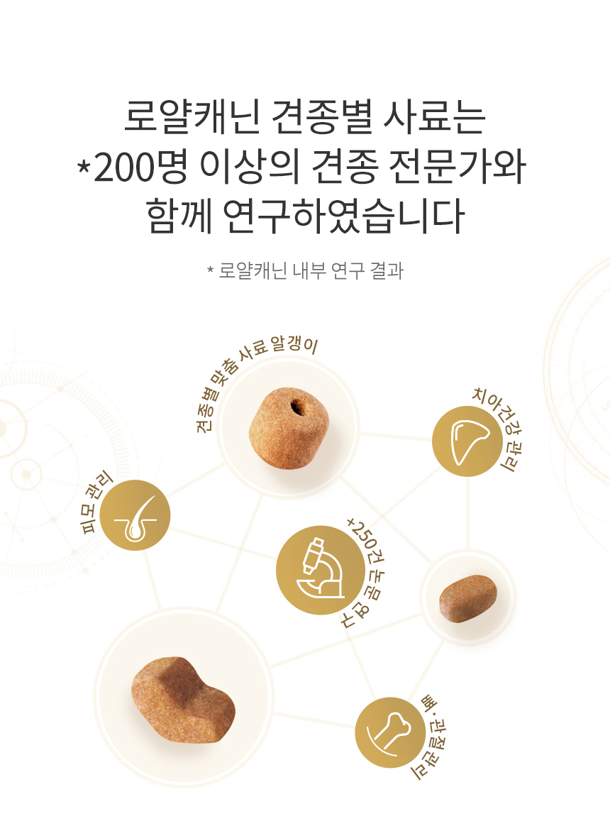 로얄캐닌 독 슈나우져 미니어쳐 퍼피, 1.5kg, 1개 - 상세 이미지 5