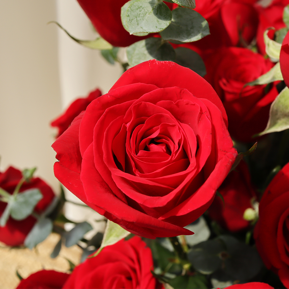 빨간 레드 장미100송이 프로포즈 이벤트 꽃바구니 꽃다발 꽃배달서비스 꽃배송 선물