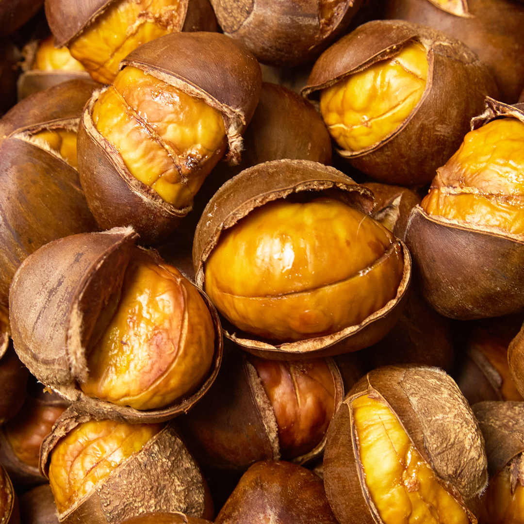 약단밤 맛밤 햇밤 군밤 칼집밤