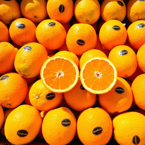 항공직송 네이블 오렌지 대과, 3kg, 10개