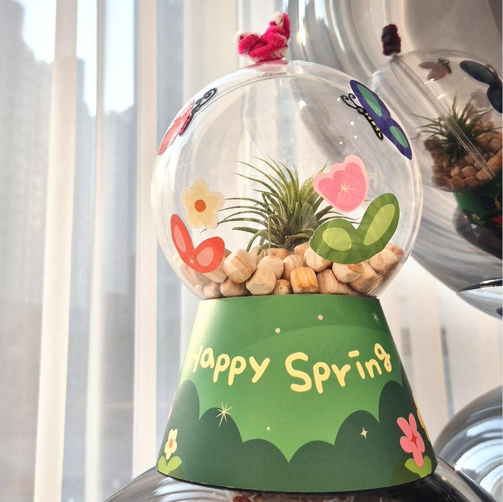 봄 만들기 어린이집 식목일 행사 활동 이오난사 테라리움 플라워볼 DIY 환경 원예 키트 - 상세 이미지 4