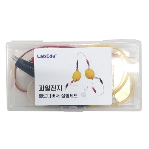 과일전지 멜로디 버저 실험세트(케이스입) : 태진상사