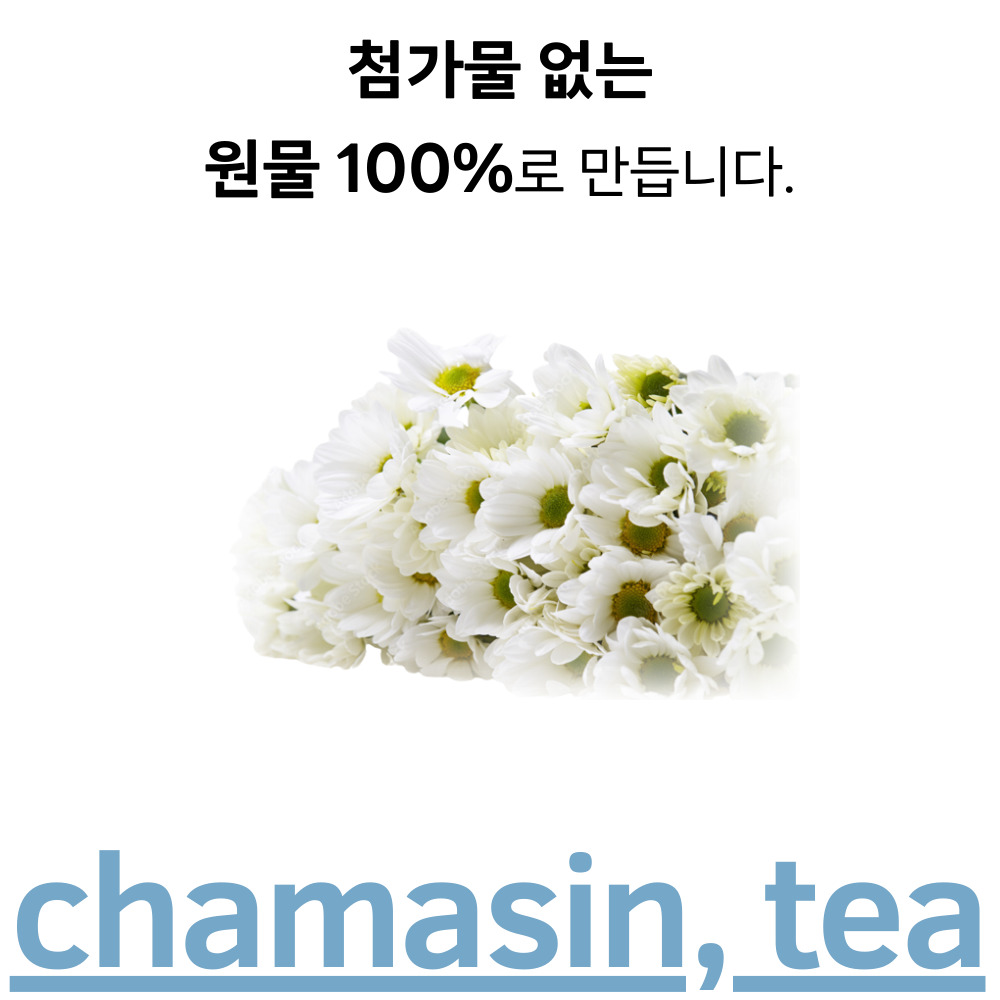민들레차 50티백 흰민들레 간에좋은 카페인없는 차 - 상세 이미지 2