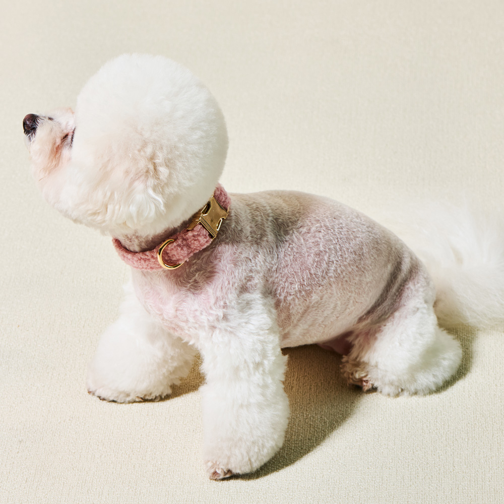 개과천선 펄넥 강아지 목줄 반려견 외출용품 써지컬 편안한 산책용품 컨버스 원단 - 상세 이미지 4