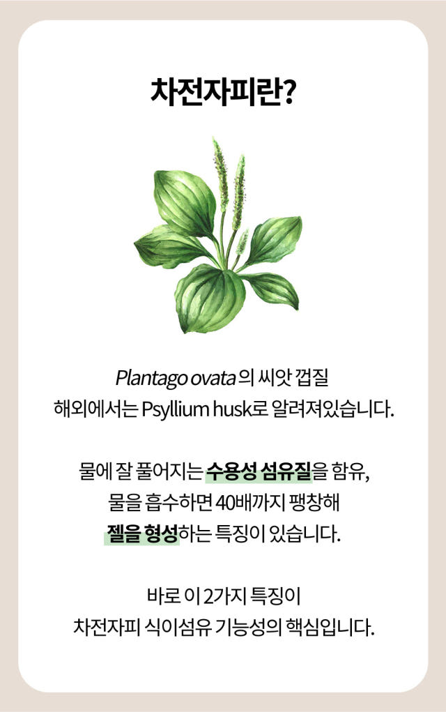 룰루랄라 차전자피 미세과립 식이섬유 3박스 / 무료배송