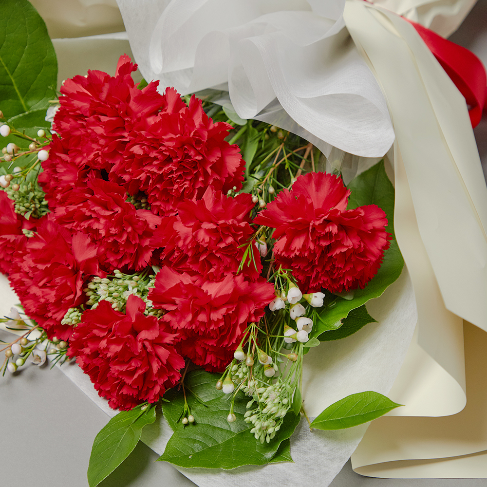레드 카네이션 꽃다발 생화 꽃바구니 어버이날 상견례 기념일 꽃배달 꽃배송서비스
