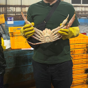 러시아대게 에이급 자숙 박달대게 3kg 선어 활대게 스노우크랩 맛있게 먹은 솔직 후기 - 상품 이미지 3