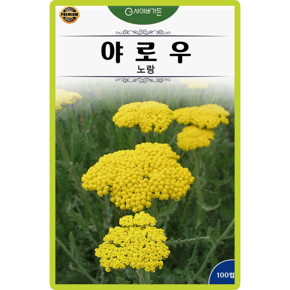 산들마켓 야로우 허브 씨앗 100립 노란 다년생 드라이 플라워로 사용하는 허브씨 종자 : 산들마켓샵
