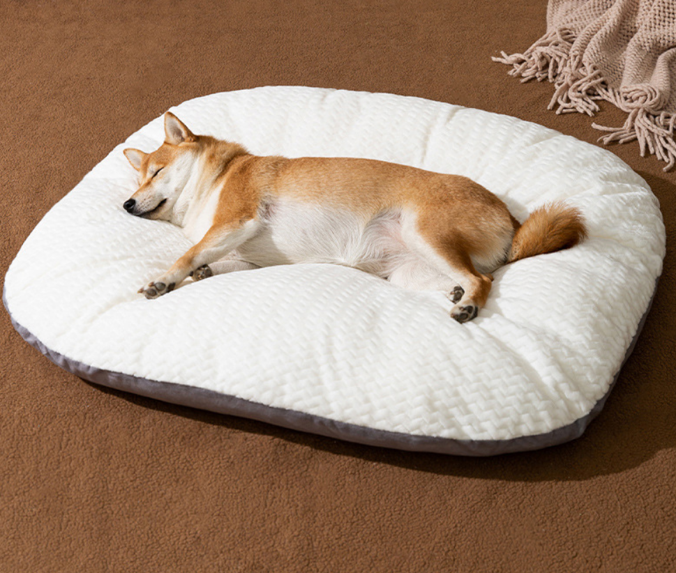 강아지 고양이 애견 방석 쿠션 대형견 개모차 방석 - 상품 이미지