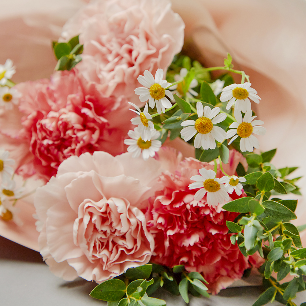 인디핑크 카네이션 꽃다발 생화 꽃바구니 발렌타인데이 기념일 프로포즈 꽃배달 꽃배송서비스