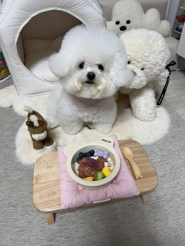 최설x우리나무공방 펫 다이닝 테이블 고양이 강아지밥그릇 식탁 이미지 6