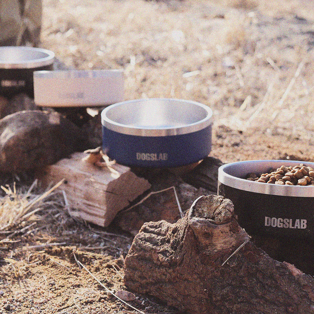 독스랩 강아지 밥그릇 물그릇 식기 소형견 중형견 대형견 스텐 32oz