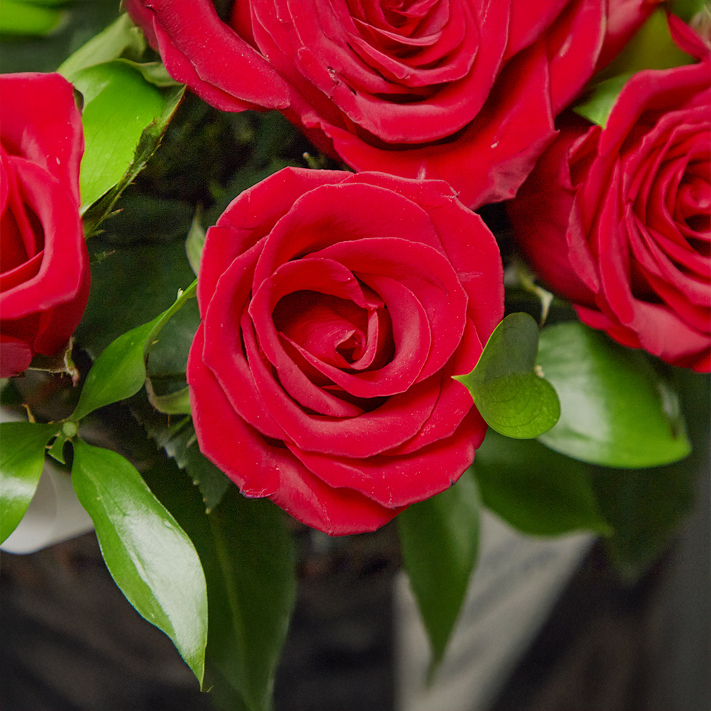 레드 장미 빨간 로즈 플라워 꽃다발 생화 꽃바구니 생일 기념일 발렌타인데이 전국꽃배달