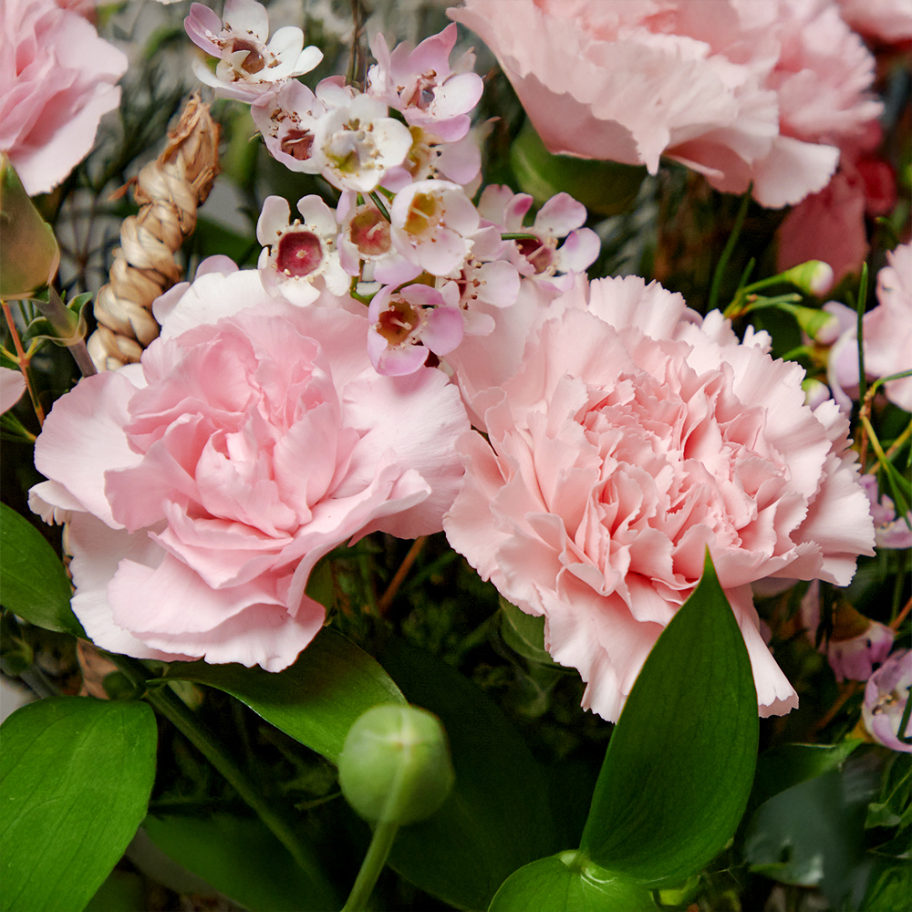 핑크 카네이션 플라워 꽃바구니 생화 꽃다발 생일선물 기념일 어버이날 상견례 전국당일 꽃배달