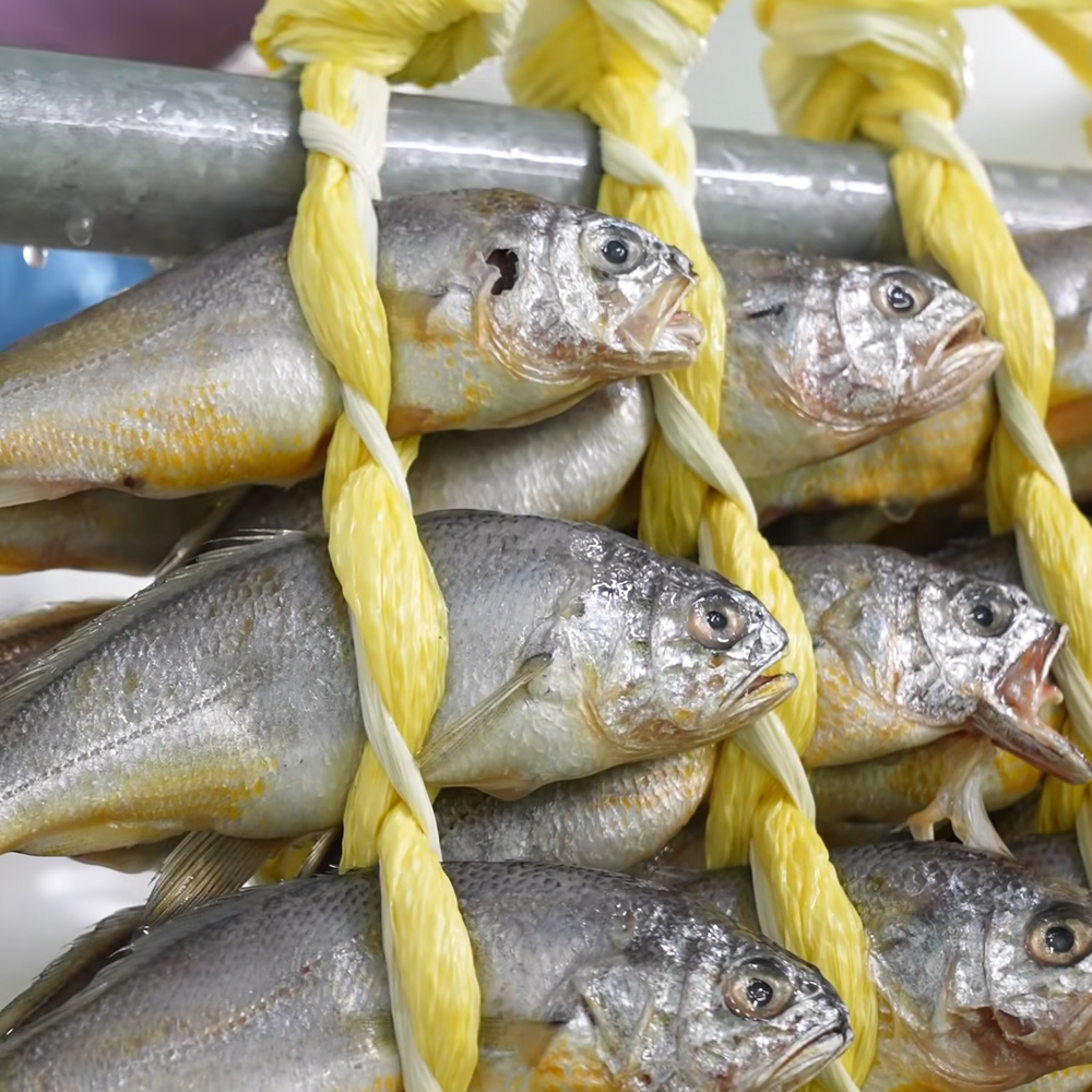 국내산 법성포 영광굴비 조기굴비 참굴비 선물용 영광특산품 20미 1.6kg, 1개