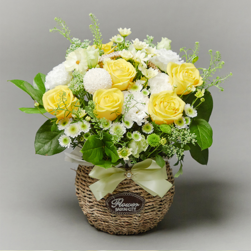 프리마베라 플로라 혼합 플라워 꽃다발 생화 꽃바구니 생일 기념일 발렌타인데이 꽃배달