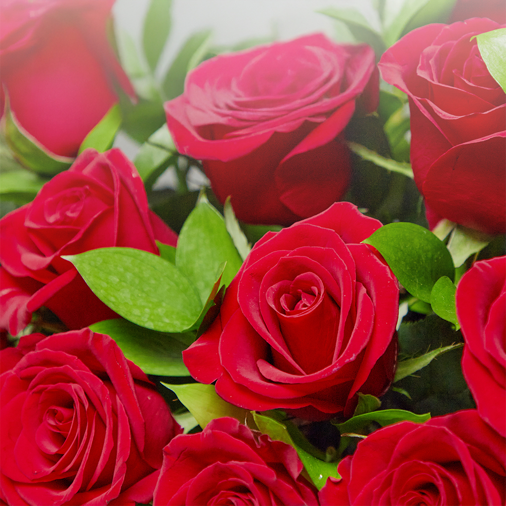 레드 장미 빨간 로즈 플라워 꽃다발 생화 꽃바구니 생일 기념일 발렌타인데이 전국꽃배달