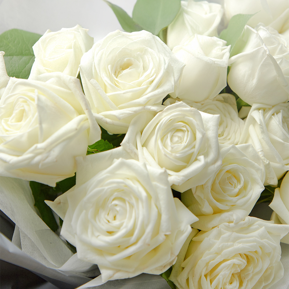 흰장미 화이트로즈 꽃다발 생화 꽃바구니 생일 기념일 브라이덜샤워 꽃배달 꽃배송서비스
